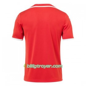 Billige Fotballdrakter Tunisia VM 2018 Bortedraktsett